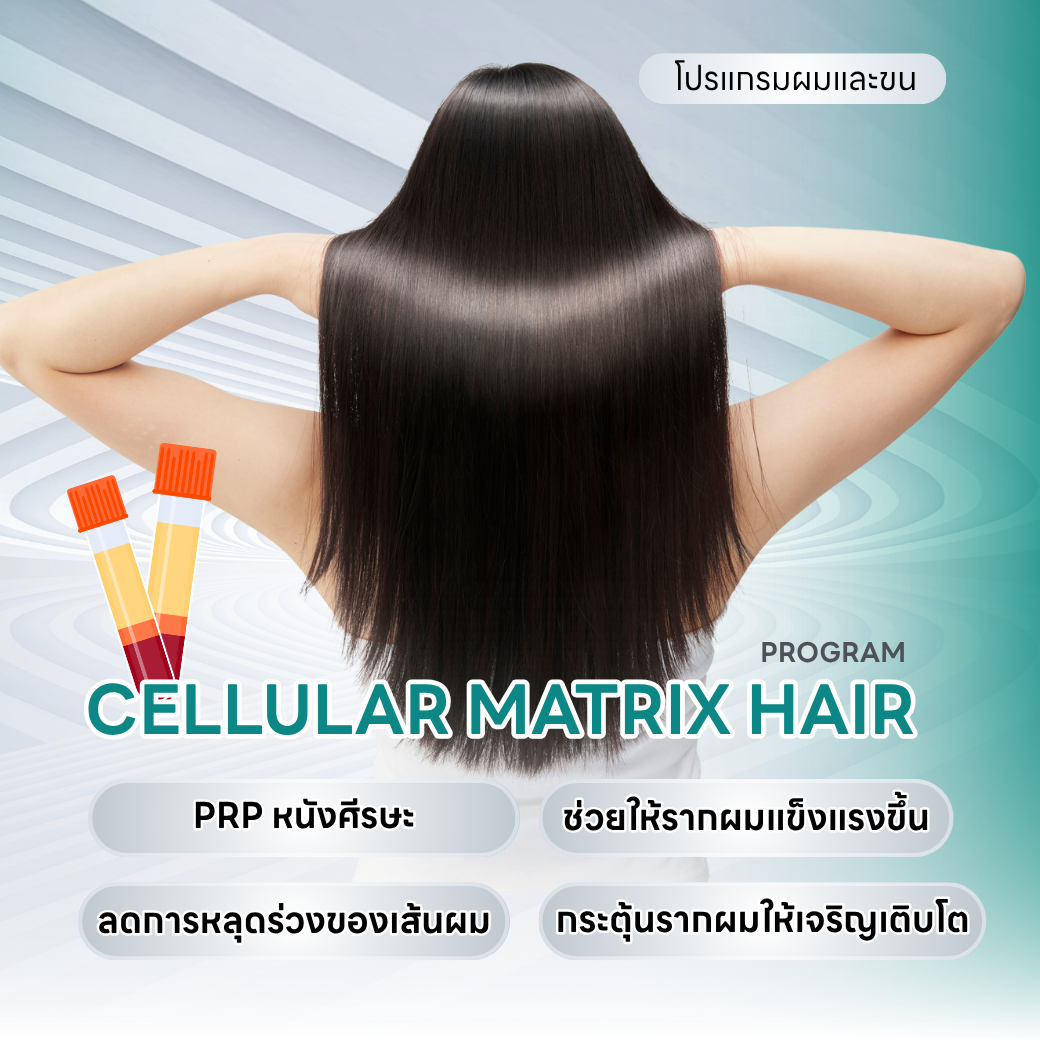 เซลลูลาร์ เมทริกซ์ แฮร์