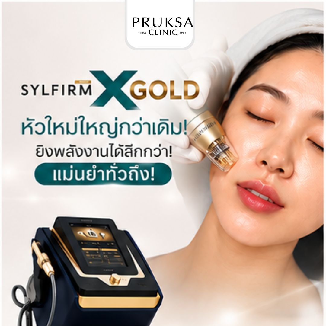 Sylfirm X Gold 新款加大头端